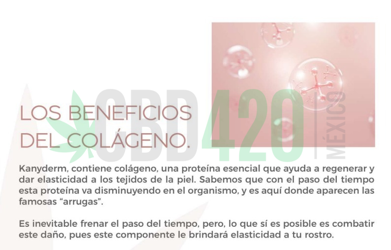 WhatsApp Image 2023-01-14 at 13.35.33 (2) WhatsApp Image 2023-01-14 at 13.35.33 (2)