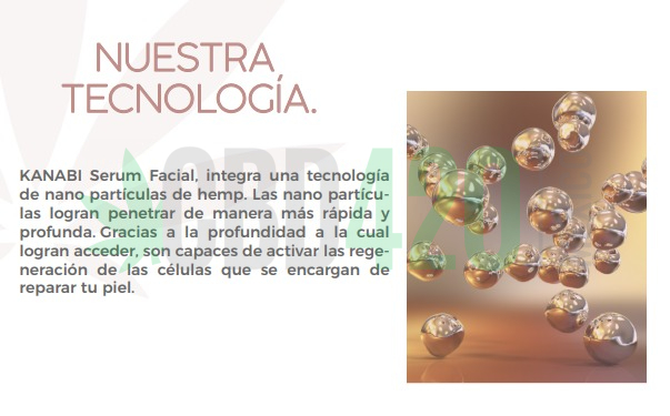 WhatsApp Image 2023-01-14 at 13.35.34 (1) WhatsApp Image 2023-01-14 at 13.35.34 (1)