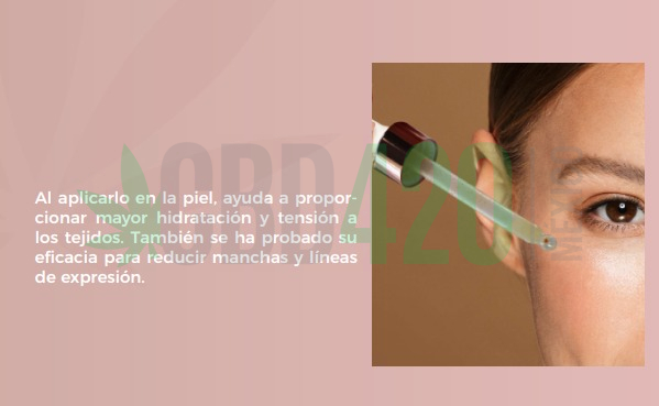 WhatsApp Image 2023-01-14 at 13.35.34 (3) WhatsApp Image 2023-01-14 at 13.35.34 (3)