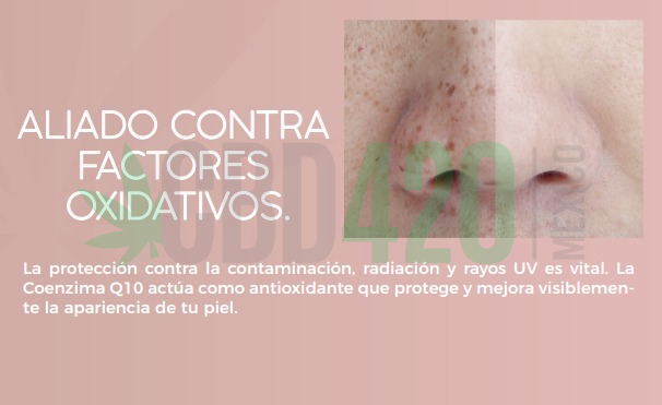 WhatsApp Image 2023-01-14 at 13.35.35 (2) WhatsApp Image 2023-01-14 at 13.35.35 (2)