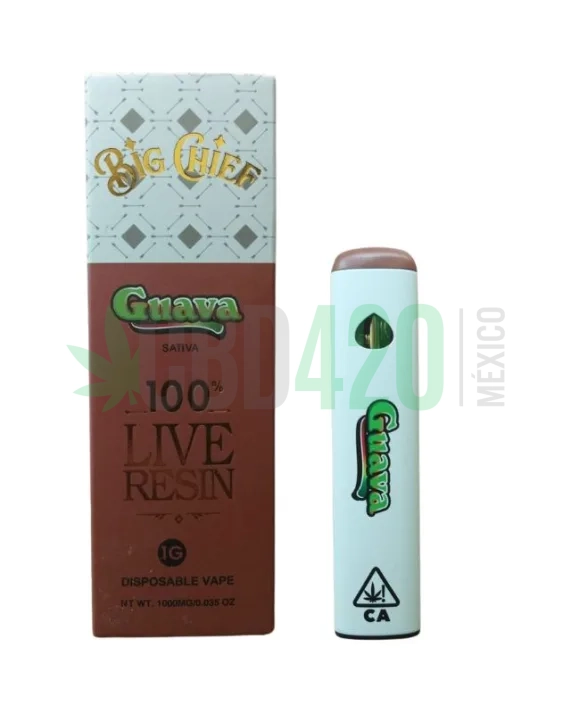 PLUMA DE WAX DESECHABLE - BIG CHIEF- "Guava" (SATIVA)