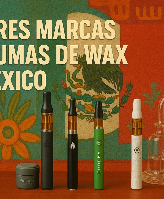 las-Mejores-Marcas-de-Plumas-de-Wax-en-Mexico