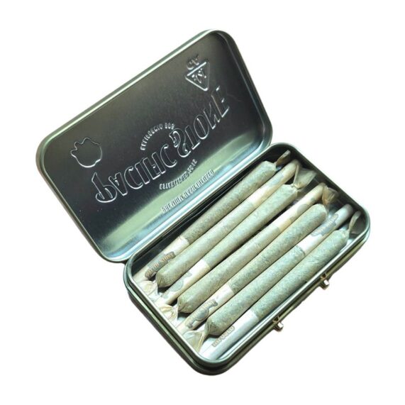 PRE ROLL PACIFIC STONE CAJA 7